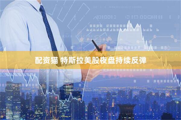 配资猫 特斯拉美股夜盘持续反弹