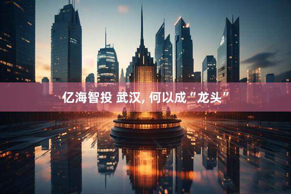 亿海智投 武汉, 何以成“龙头”
