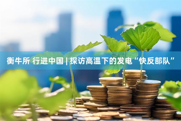 衡牛所 行进中国 | 探访高温下的发电“快反部队”
