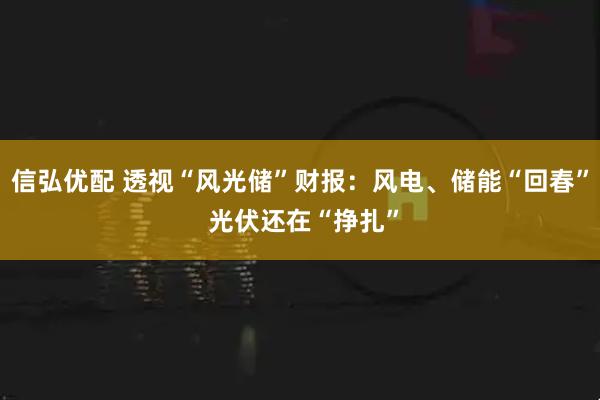 信弘优配 透视“风光储”财报：风电、储能“回春” 光伏还在“挣扎”